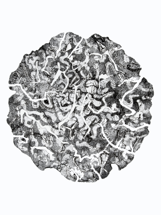 chdczwart