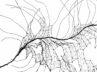 28 en 29 september Open Ateliers Transformatie Arnhem